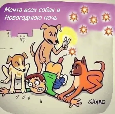Мечта собак в новогоднюю ночь