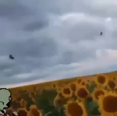 Зомби танцует среди подсолнухов
