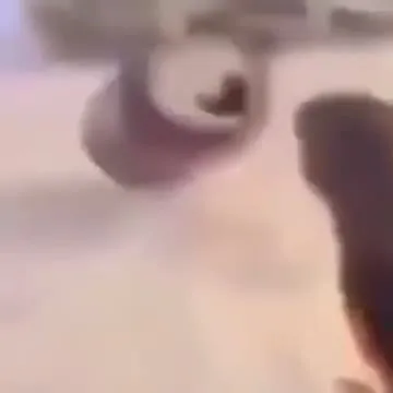 Птица клюёт странную банку