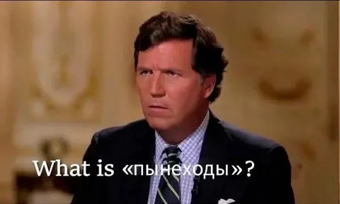 What is «пынеходы»?