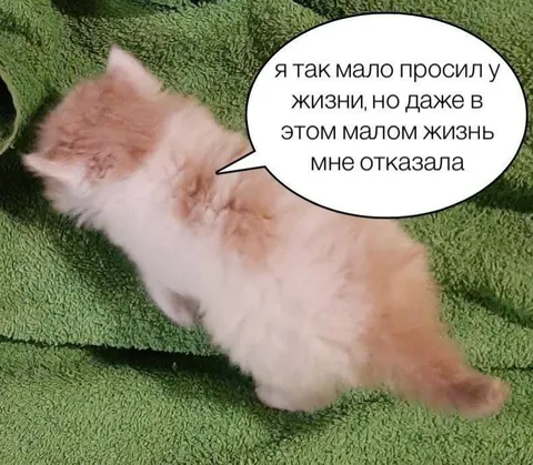 Даже малому отказали