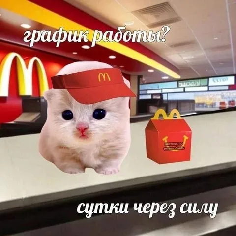 График работы сутки через силу