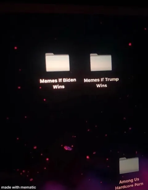 Memes If Biden or Trump Wins