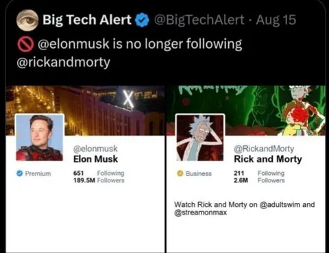 Elon Musk Unfollows Rick and Morty