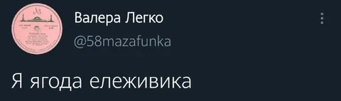 Я ягода ележивика