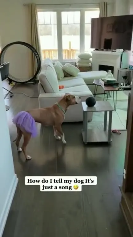 Dog Takes the Song Seriously