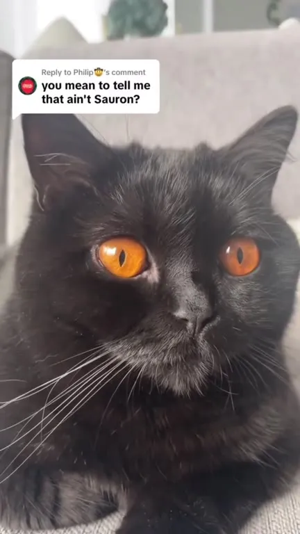 That Ain’t Sauron