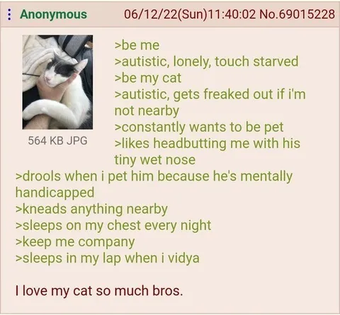 Autistic Cat Wants Constant Attention
