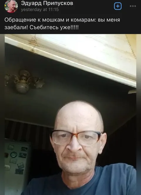 Обращение к мошкам и комарам