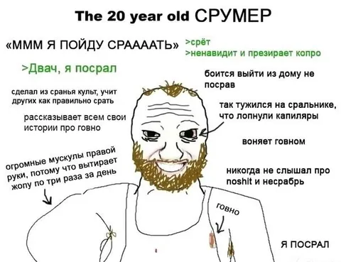 Двадцатилетний срумер