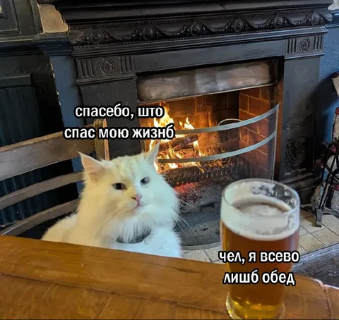 Кот спас мою жизнь