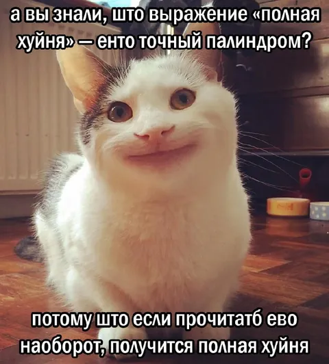 Полная хуйня — точный палиндром