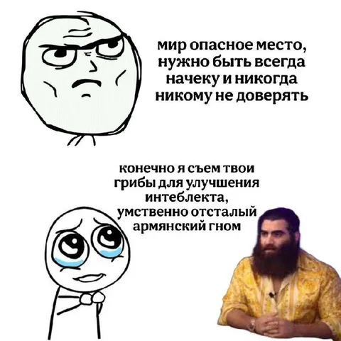 Мир опасное место, но грибы съешь