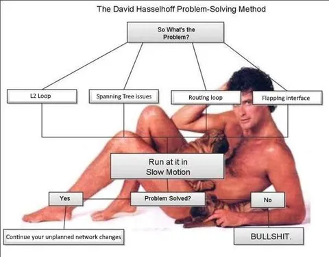 David Hasselhoff Problem-Solving Method