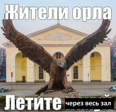 Жители Орла летят через зал