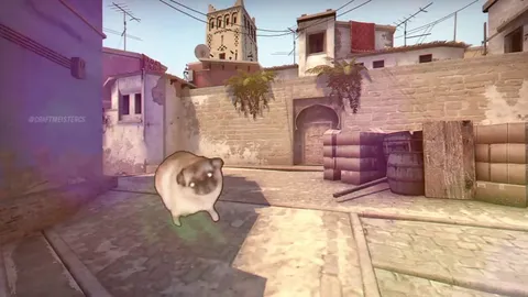 Коты на карте Dust II