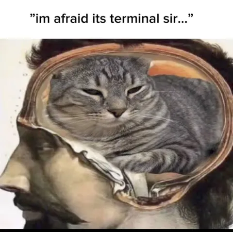 I'm Afraid It's Terminal, Sir