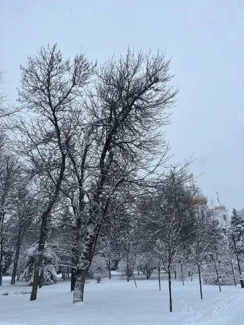 Снег в кубанском городе