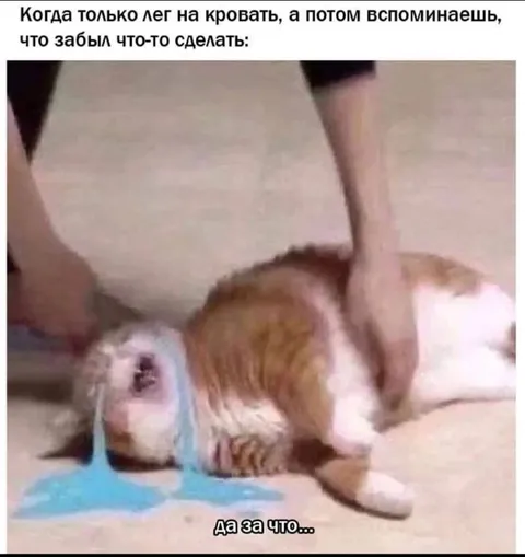 Когда лёг, но кое-что забыл