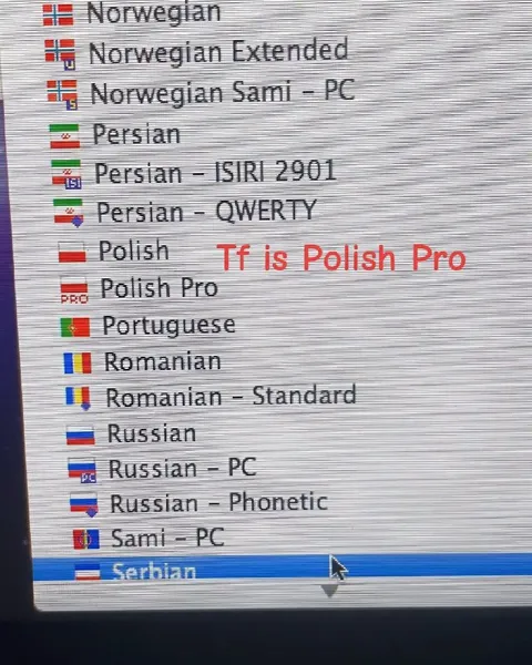 What Is Polish Pro