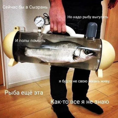Рыба и бытовые обязанности