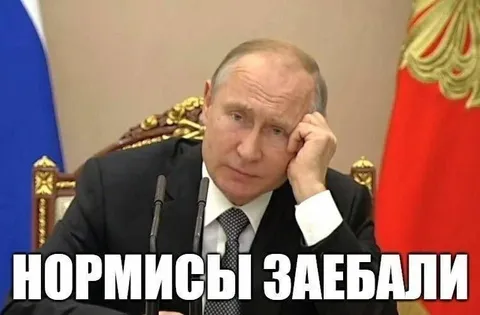 Нормисы заебали