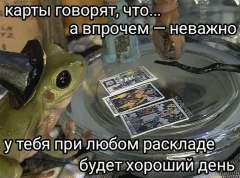 Хороший день при любом раскладе