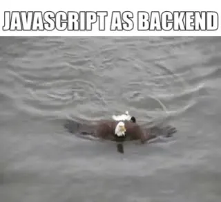 JavaScript as Backend