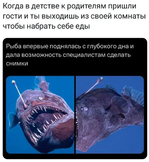Вышел из комнаты к гостям