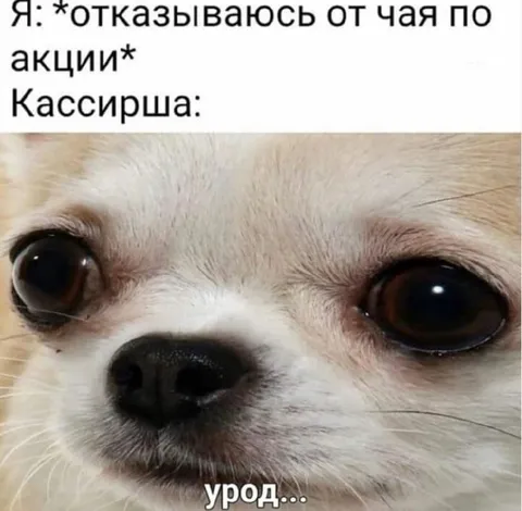 Отказ от чая по акции