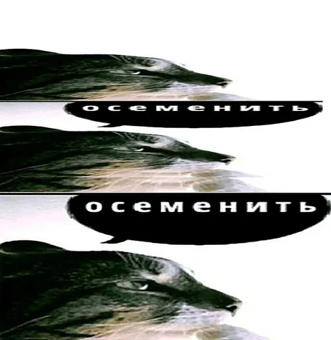Кот хочет осеменить