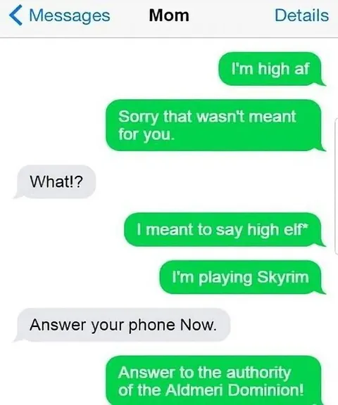 Accidental Text to Mom About Skyrim