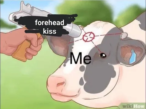 Forehead Kiss Cow Reaction