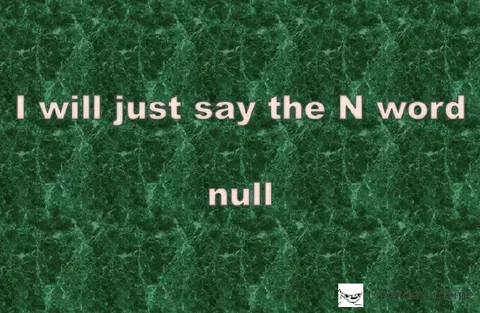 I Will Just Say the N Word