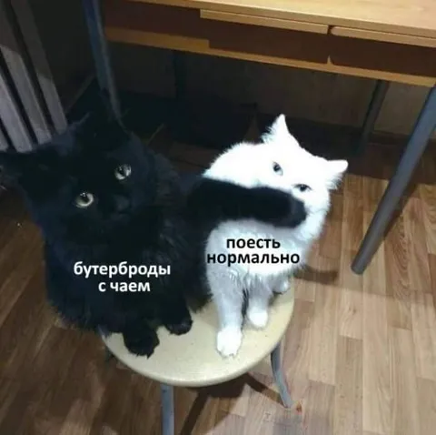 Бутерброды или нормальная еда