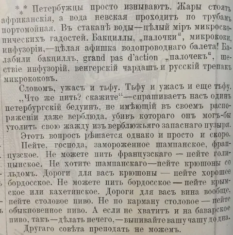 Что пить петербургскому бедуину
