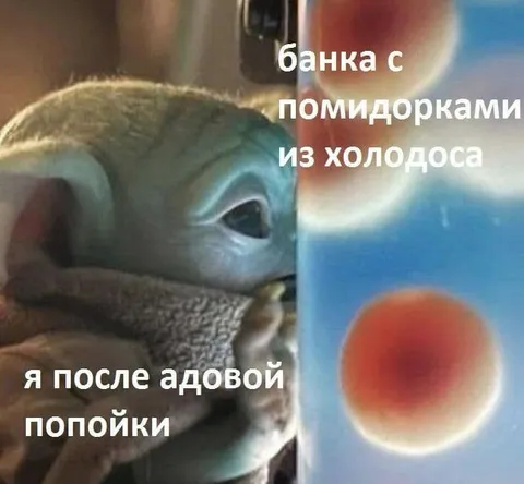 Черепаха после адовой попойки