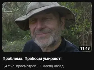 Проблема. Прабосы умирают!