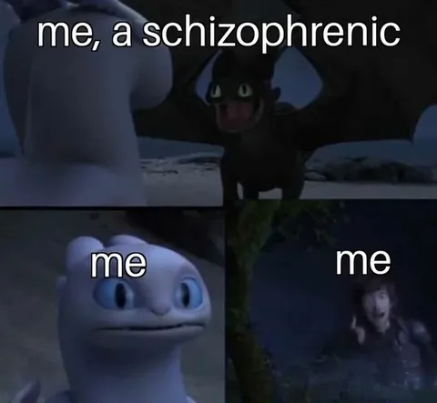 Me, a Schizophrenic Dragon