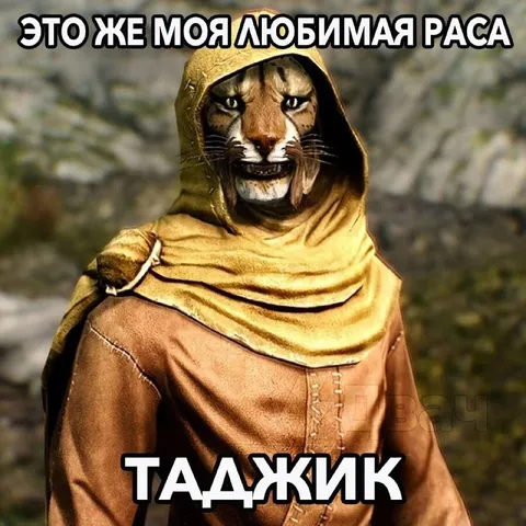 Любимая раса — таджик