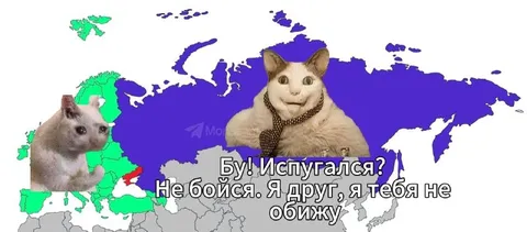 Кот обещает не обижать