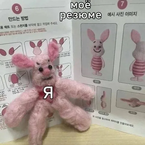 Моё резюме — я