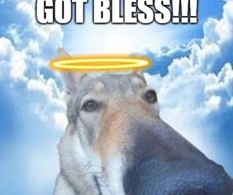 Got Bless Horse