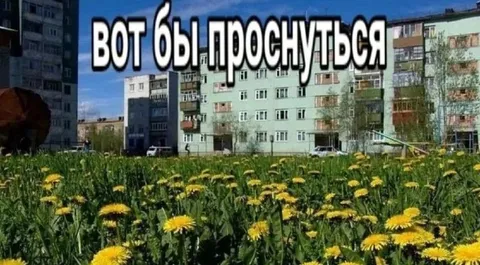 Вот бы проснуться летом