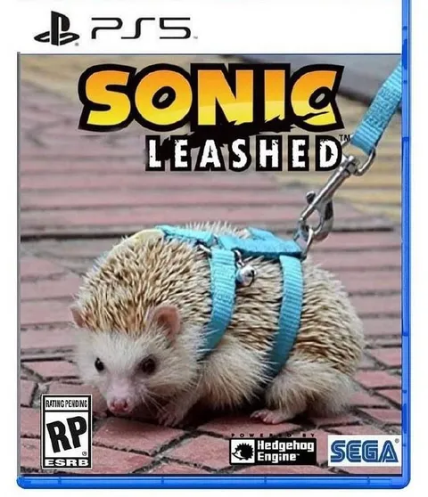 Sonic Unleashed Hedgehog