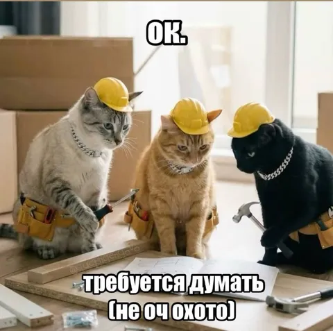 Коты-строители думают над задачей