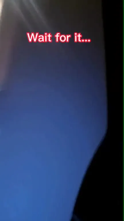 Wait for It Cat Reveal