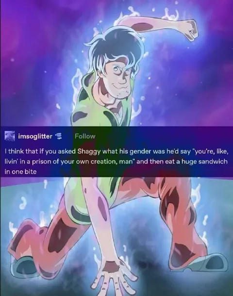 Shaggy Explains His Gender