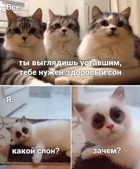 Какой сон?