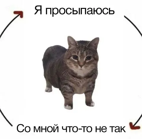 Я просыпаюсь — со мной что-то не так